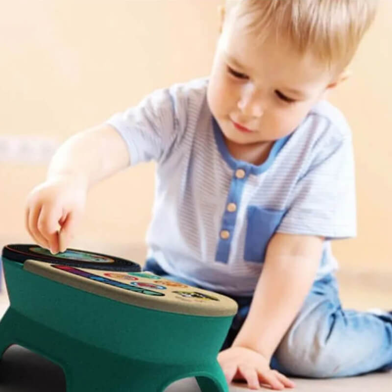 Hape Kids II Ξύλινο Touch Turntable Nugget 02