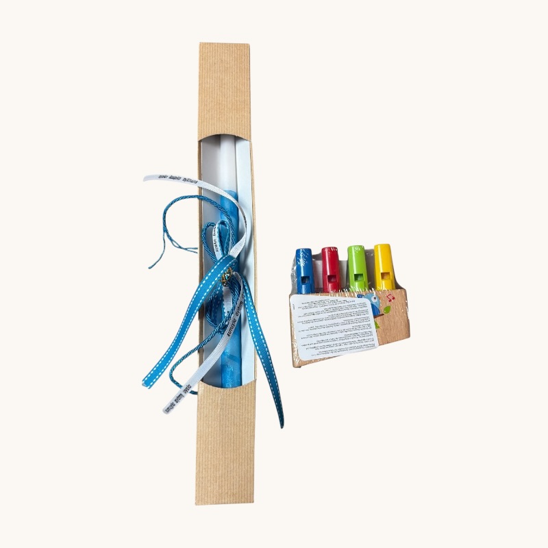 Παιχνιδολαμπάδα Hape Early Explorer Ξύλινος Αυλός Rainbow Pan Flute (E1025)